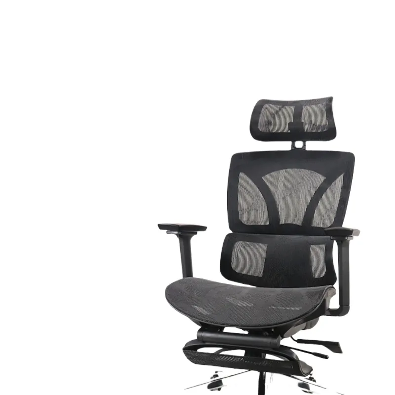 Ergonomic Office Chair for Rui - Home Office Design review and price