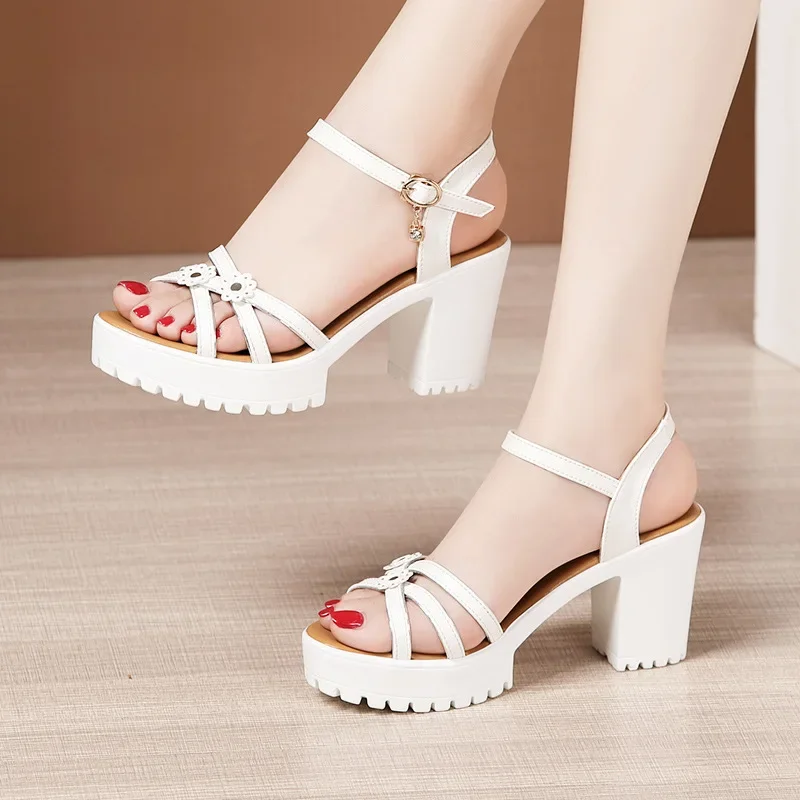 8cm Small Size 32-43 Elegant F - Home Office Size review and price